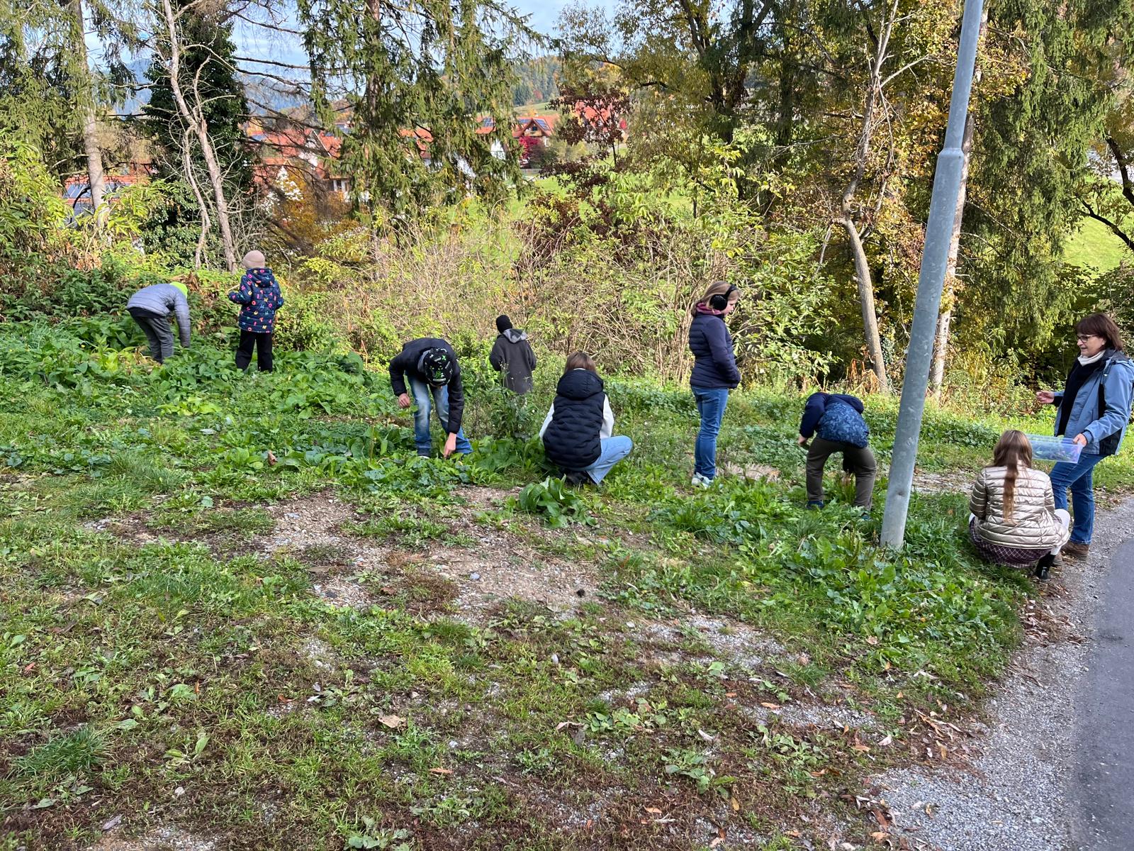 WhatsApp Image 2025-11-04 at 10.14.54 (1)